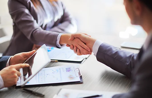 Execution and support