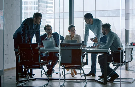 Legal analysis of the project